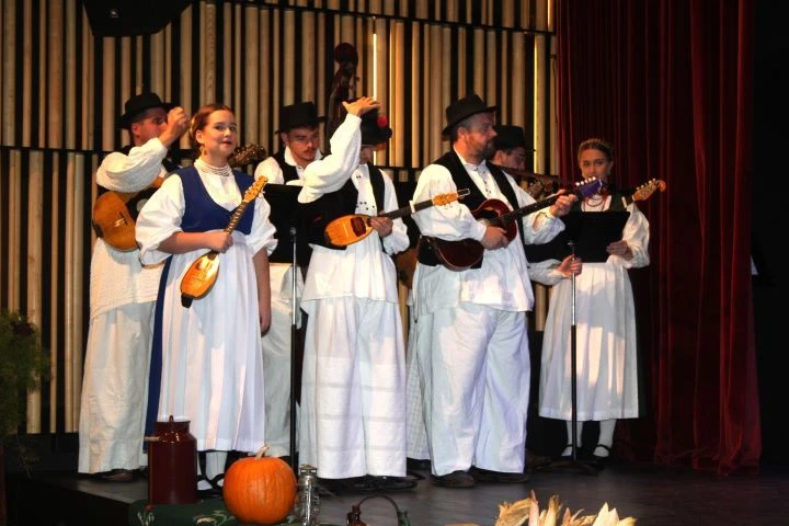 Večer emocija i ponosa: ’Lišće šuška, a tambura svira’ razgalilo srca Pleterničana