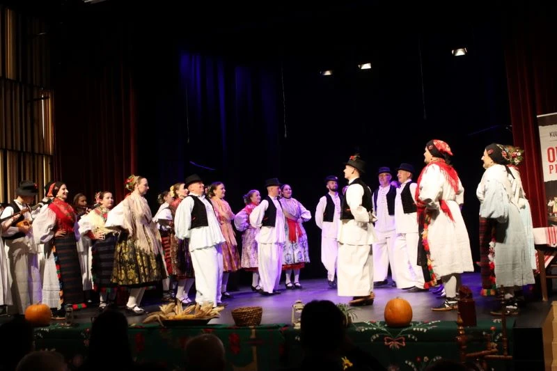 Večer emocija i ponosa: ’Lišće šuška, a tambura svira’ razgalilo srca Pleterničana