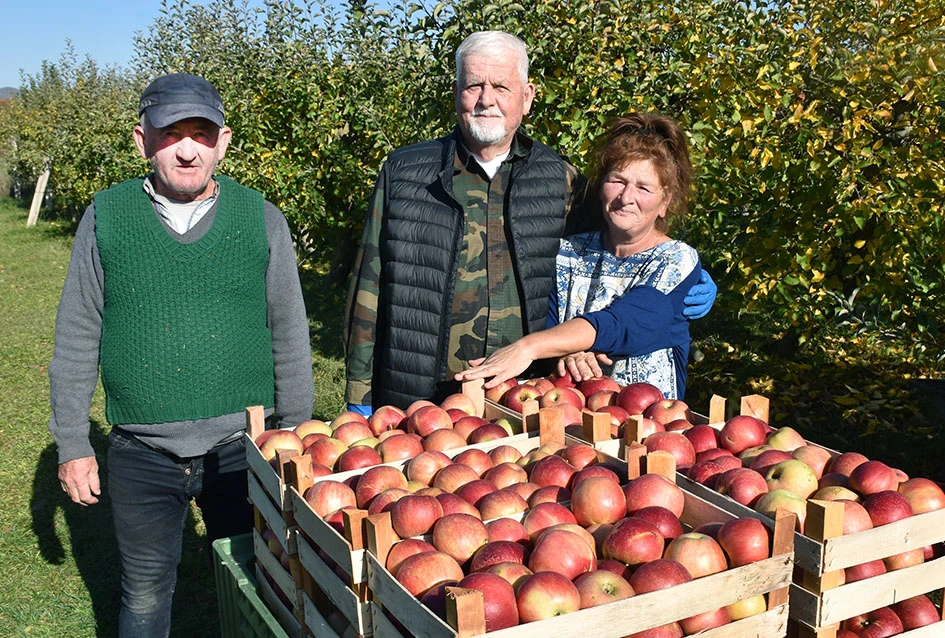 Božo – voćar koji ne poznaje mirovinu
