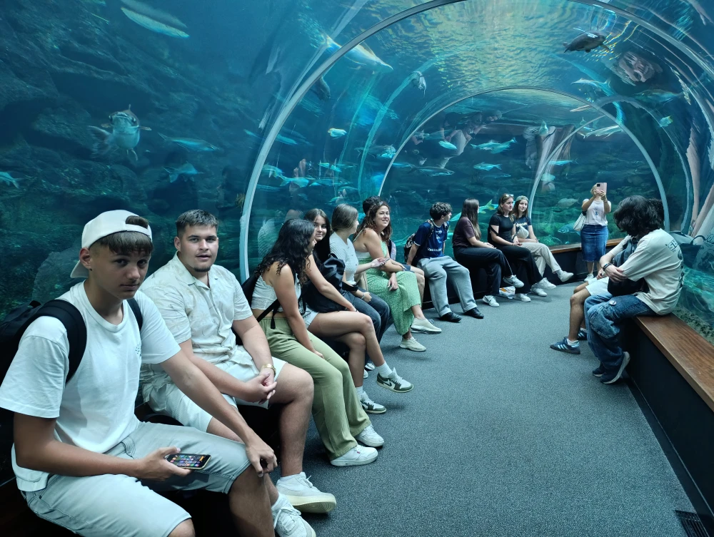 Učenici Ekonomske škole Požega na mobilnosti na Gran Canariji