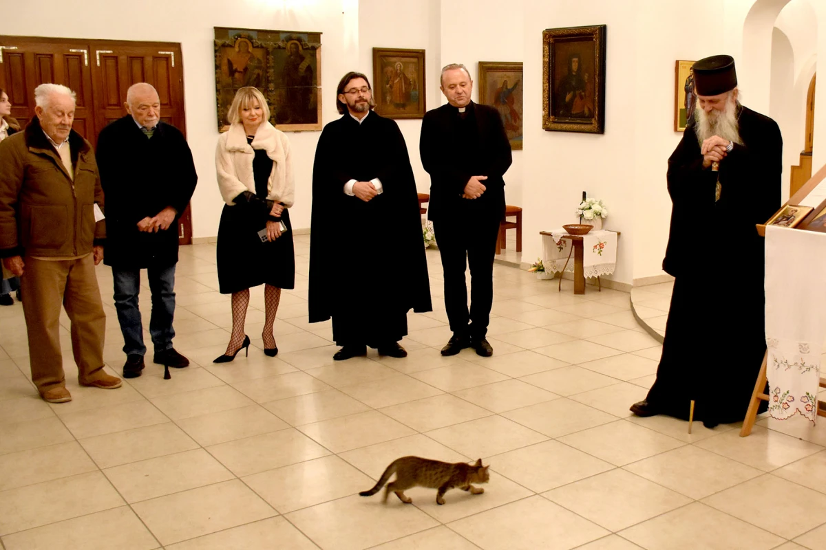 Mače u naručju episkopa Ćulibrka na otovrenju izložbe u hramu sv. Gerogija u Požegi