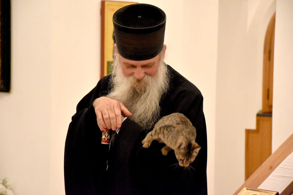 Mače u naručju episkopa Ćulibrka na otovrenju izložbe u hramu sv. Gerogija u Požegi