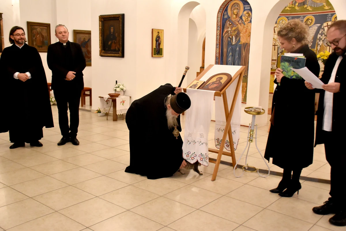Mače u naručju episkopa Ćulibrka na otovrenju izložbe u hramu sv. Gerogija u Požegi
