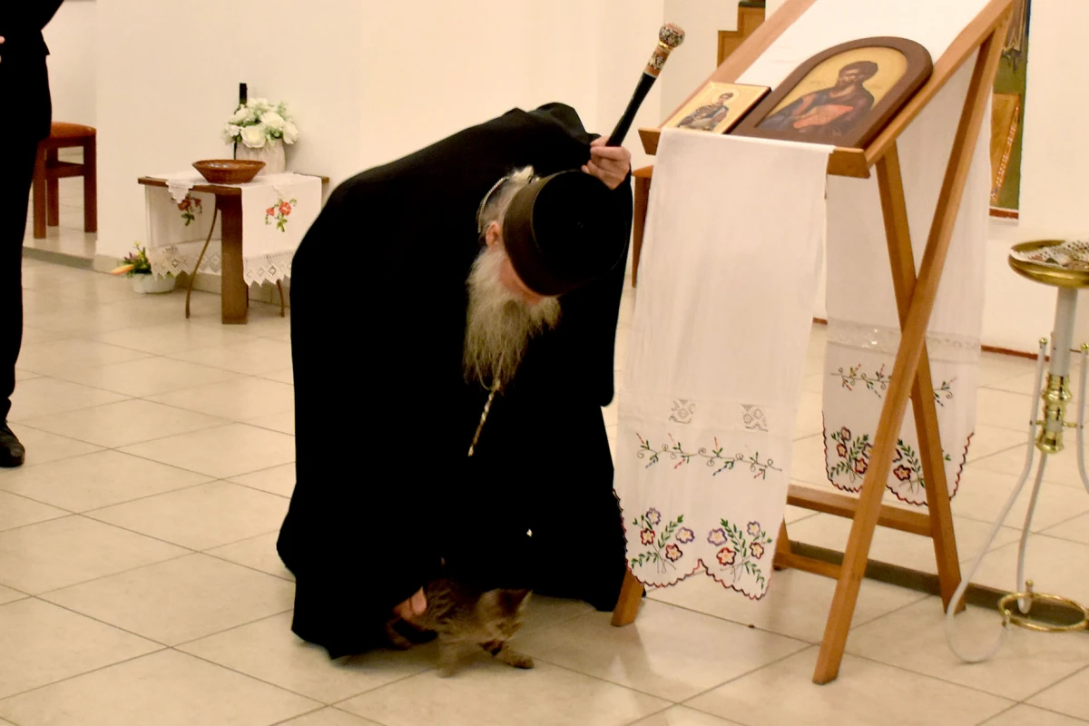 Mače u naručju episkopa Ćulibrka na otovrenju izložbe u hramu sv. Gerogija u Požegi