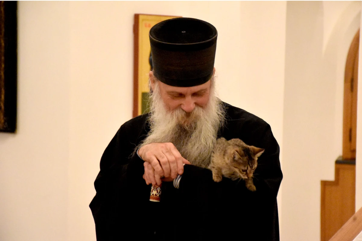 Mače u naručju episkopa Ćulibrka na otovrenju izložbe u hramu sv. Gerogija u Požegi