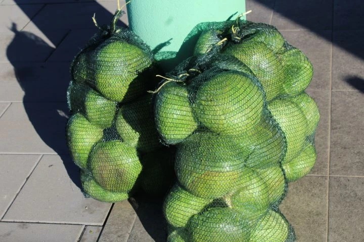 Najbolju zimnicu pripremile Vesna Kamber iz Dervišage i Kristina Budić iz Ciglenika