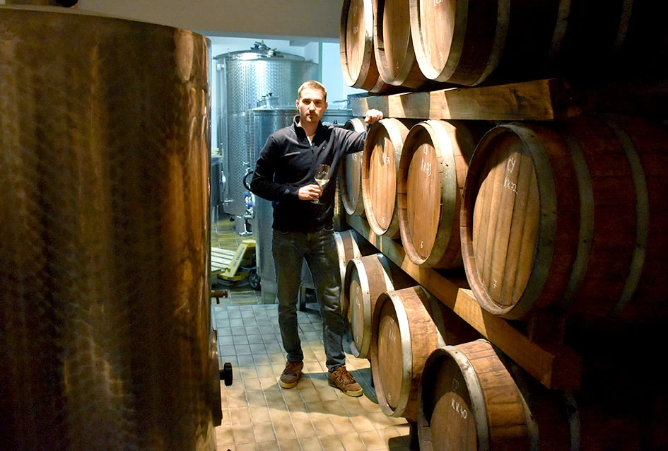 Generacijska smjena u Kutjevu: Lovro Potrebica preuzima kormilo vinarije Majetić