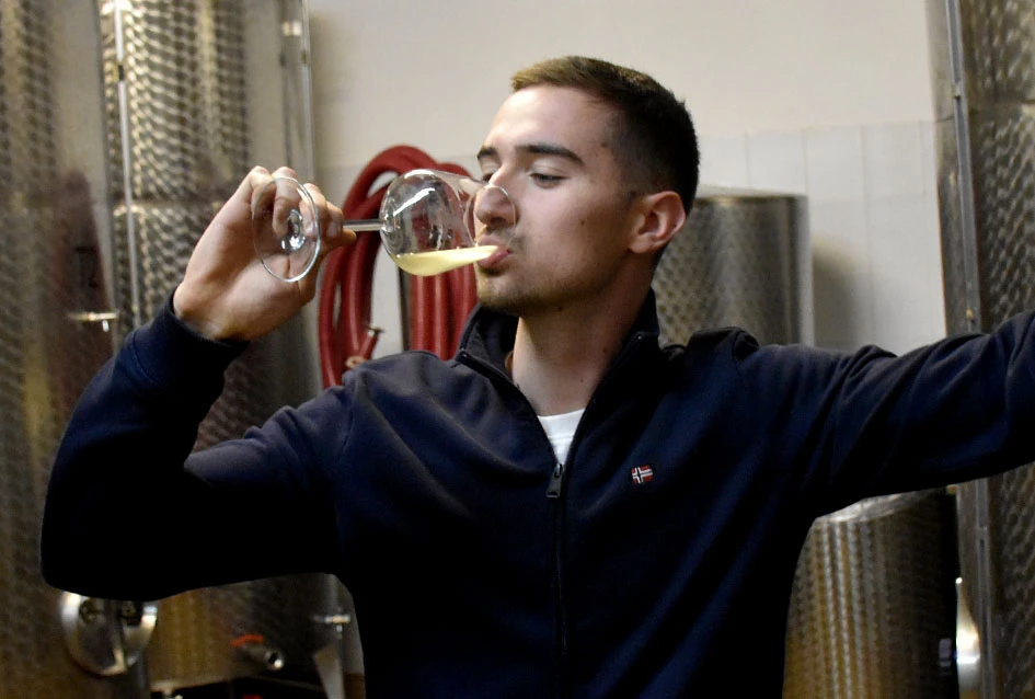 Generacijska smjena u Kutjevu: Lovro Potrebica preuzima kormilo vinarije Majetić