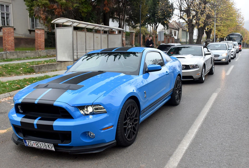 Strast, prijateljstvo i vino – Mustanzi ponovno u Kutjevu