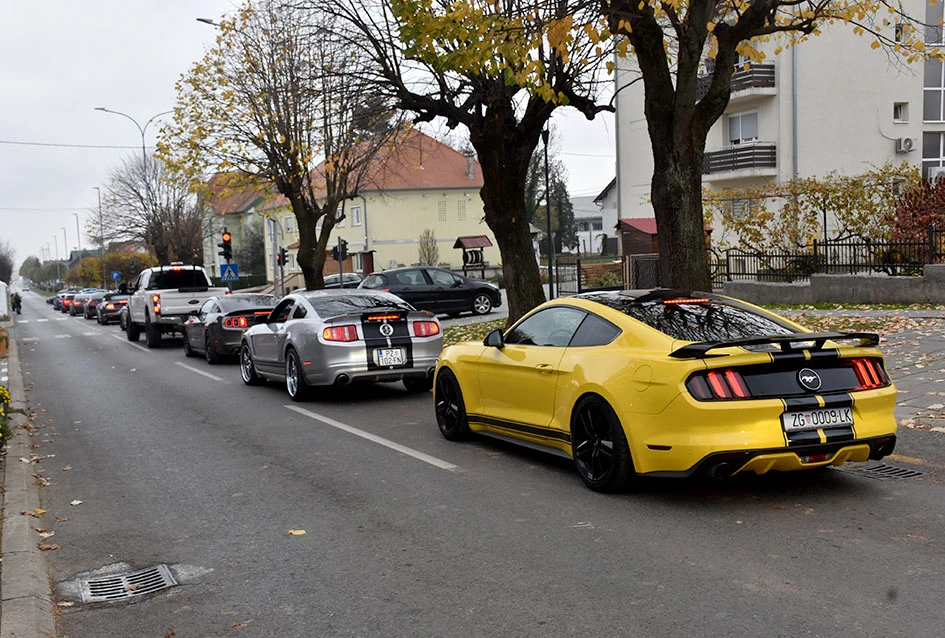 Strast, prijateljstvo i vino – Mustanzi ponovno u Kutjevu