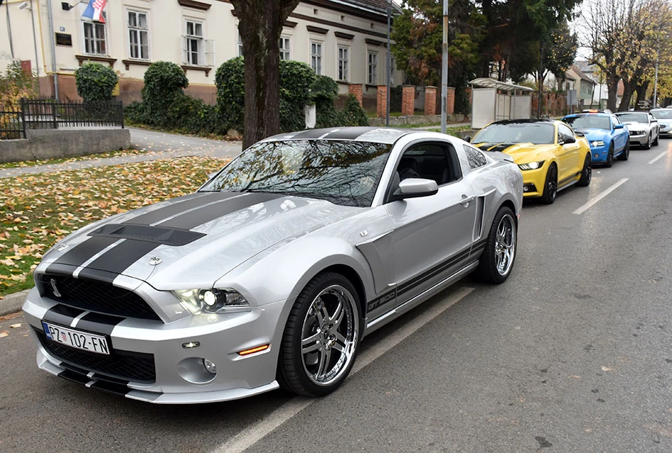 Strast, prijateljstvo i vino – Mustanzi ponovno u Kutjevu