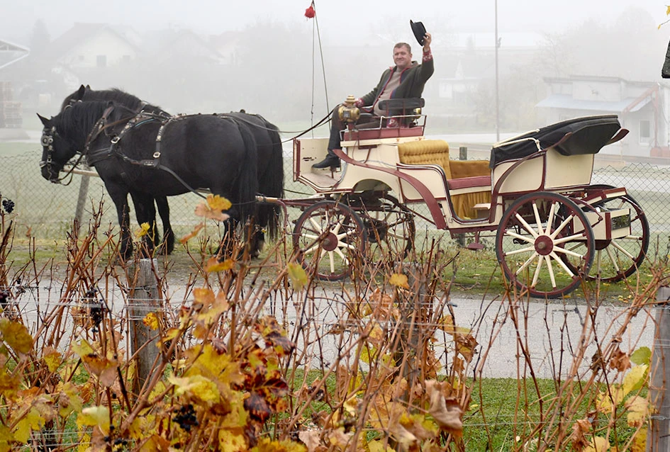 Kutjevo podiglo ljestvicu: nikad više posjetitelja na Martinju!