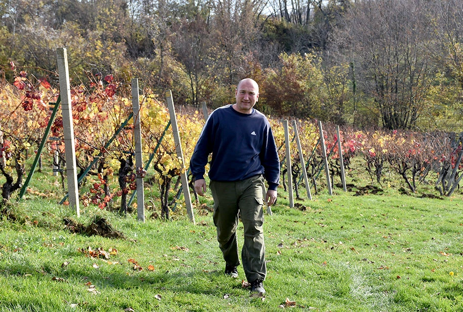 Priča o obitelji Pamuklić: Vinograd koji spaja generacije