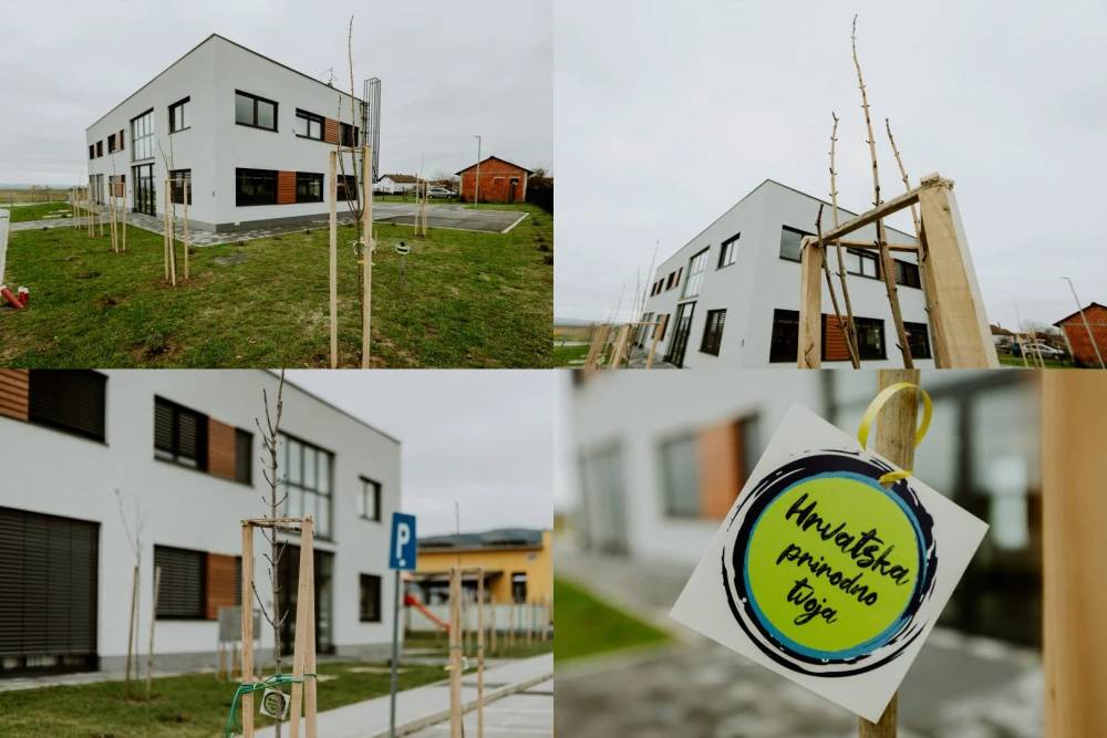 Novi dah održivosti u Kutjevu: Zasađene sadnice javora u sklopu nacionalnog projekta