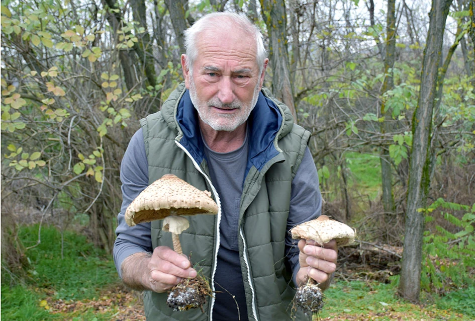 Jeseni u Dragi: Obitelj Ostojić sezonu gljiva zatvara uz pohane ’purane’ i kapljicu graševine