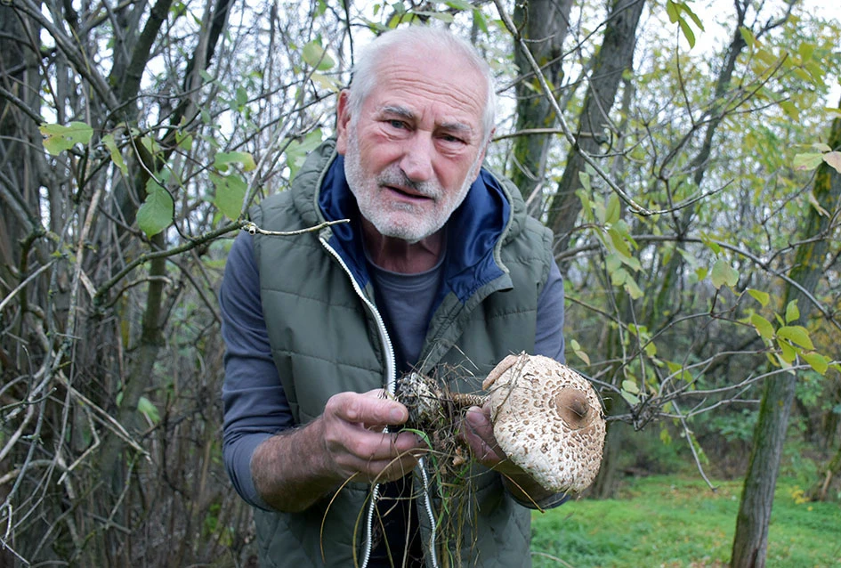 Jeseni u Dragi: Obitelj Ostojić sezonu gljiva zatvara uz pohane ’purane’ i kapljicu graševine