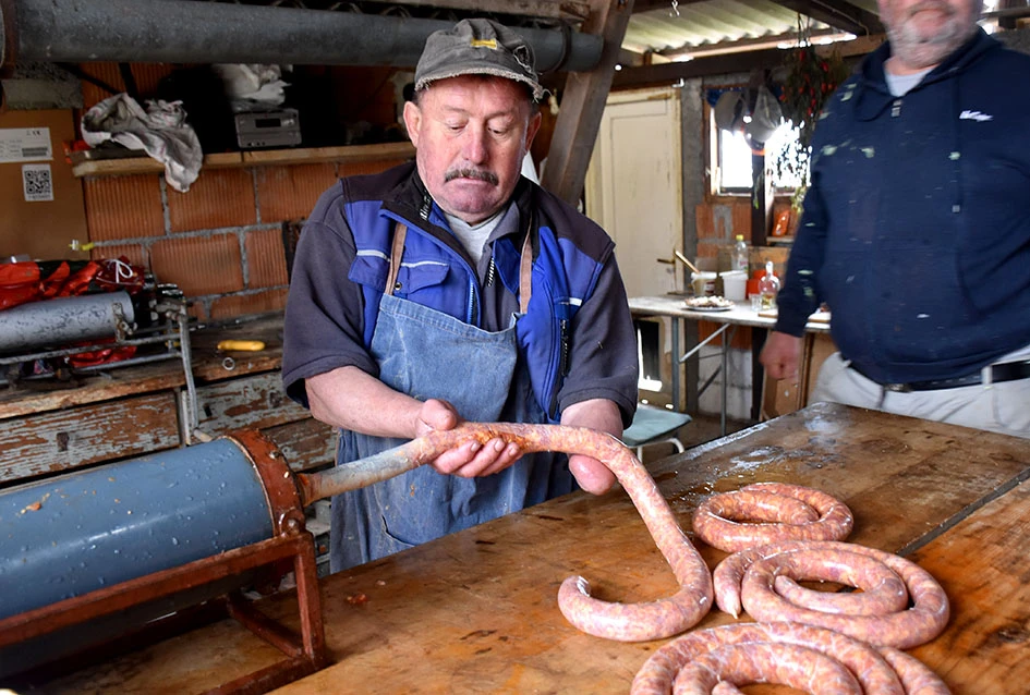 Požeški vinogradar Branko Smolić: Tradicionalno kolinje na Svetoj Jeleni uz pjesmu i mladu graševinu