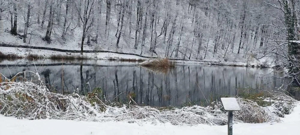 Zimska idila na Jankovcu: Bijeg u snježnu čaroliju Papuka
