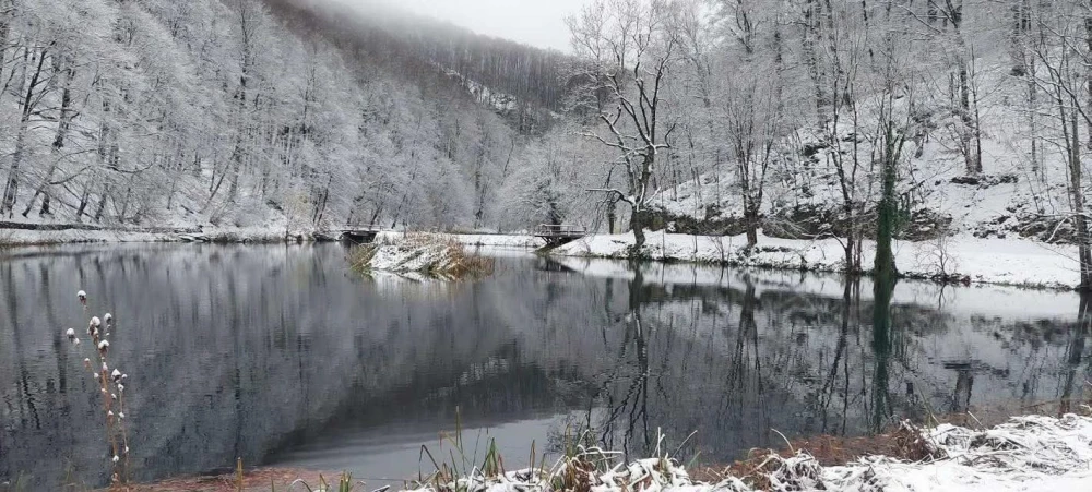 Zimska idila na Jankovcu: Bijeg u snježnu čaroliju Papuka