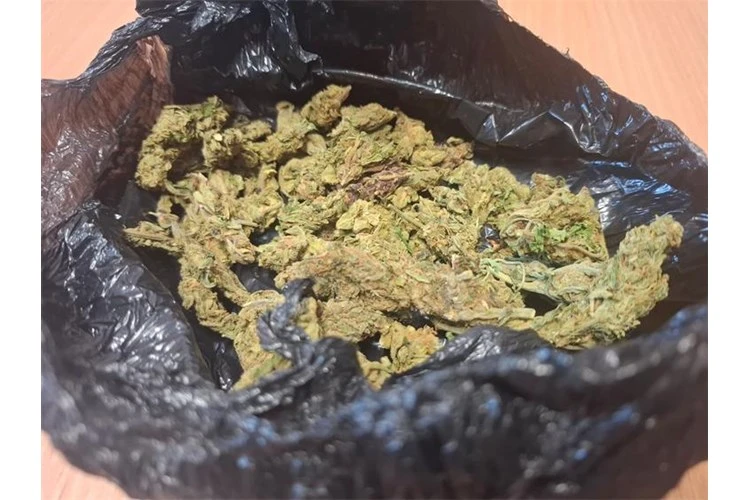 Kaznena prijava 24-godišnjaku s područja Pleternice zbog sumnje na kontinuiranu prodaju marihuane