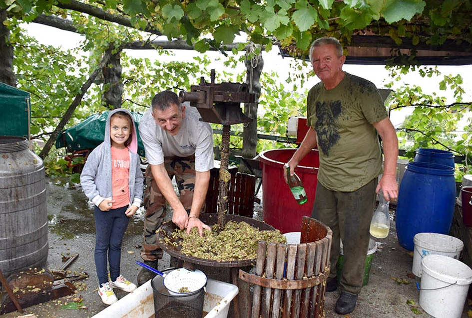 Strast vinara Mirka Zoretića: Srebrni rizling i prijateljska ocjena s požeškog Salaša