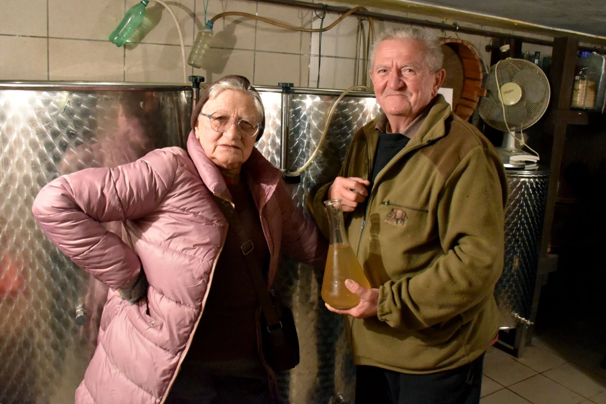 Strast vinara Mirka Zoretića: Srebrni rizling i prijateljska ocjena s požeškog Salaša