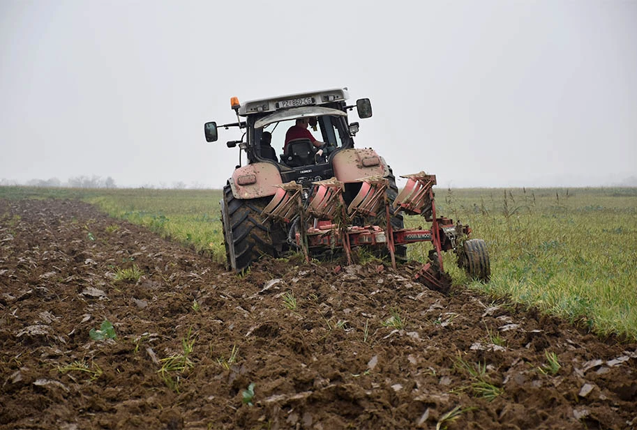 Požeški ratari na njivama: Sjetva je gotova, slijedi zaoravanje zimske brazde