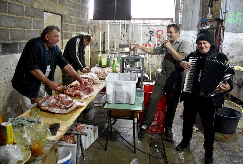 Pjesma, posao i kulen: Jedinstveni ugođaj kolinja kod Ladislava Waltera iz Trenkova