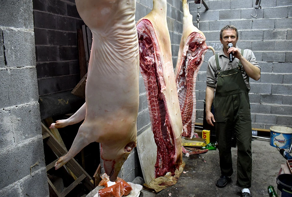 Pjesma, posao i kulen: Jedinstveni ugođaj kolinja kod Ladislava Waltera iz Trenkova