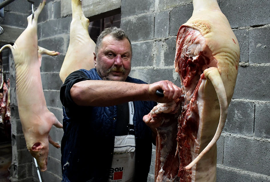 Pjesma, posao i kulen: Jedinstveni ugođaj kolinja kod Ladislava Waltera iz Trenkova