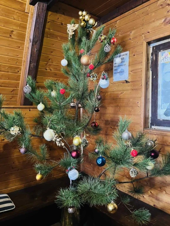 Blagdanski ugođaj na Mališćaku: Okićen bor u planinarskom skloništu