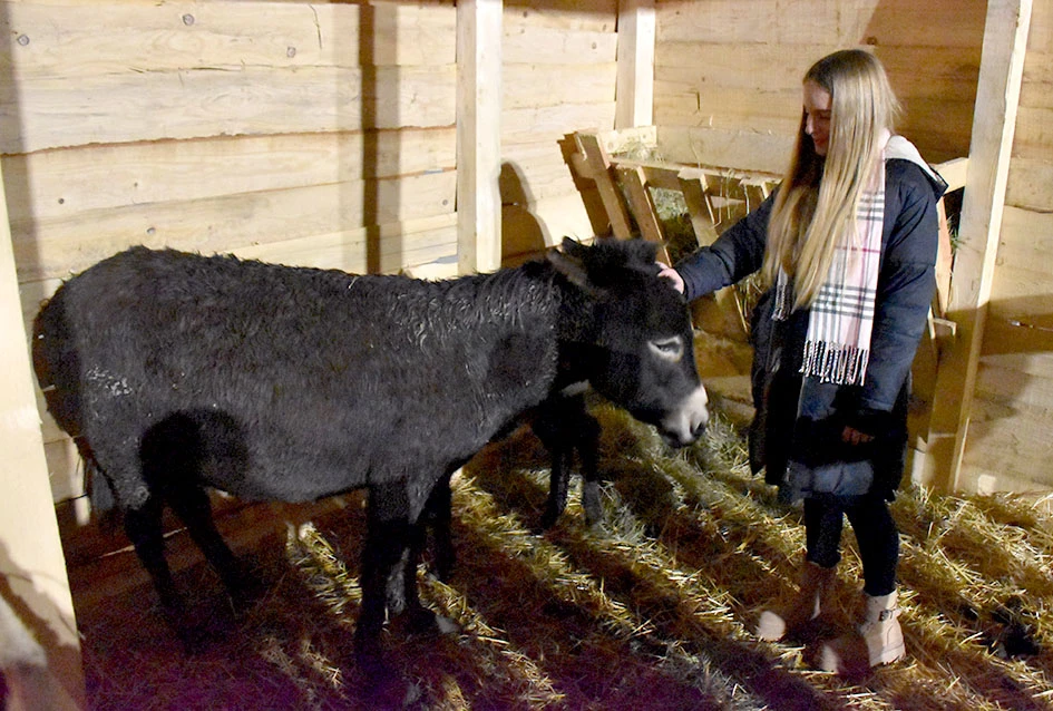 U Velikoj uprizorene žive jaslice uz snažnu humanitarnu poruku