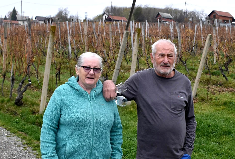 Spoj iskustva i mladenačke vizije: Obitelj Ostojić iz Drage gradi vinsku budućnost na obroncima Papuka