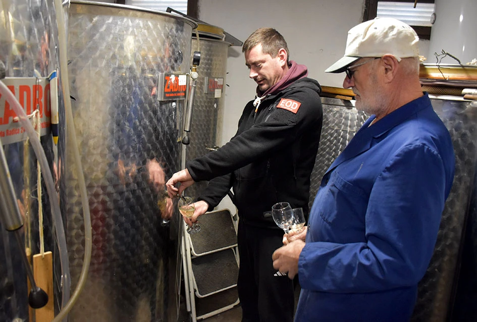 Spoj iskustva i mladenačke vizije: Obitelj Ostojić iz Drage gradi vinsku budućnost na obroncima Papuka