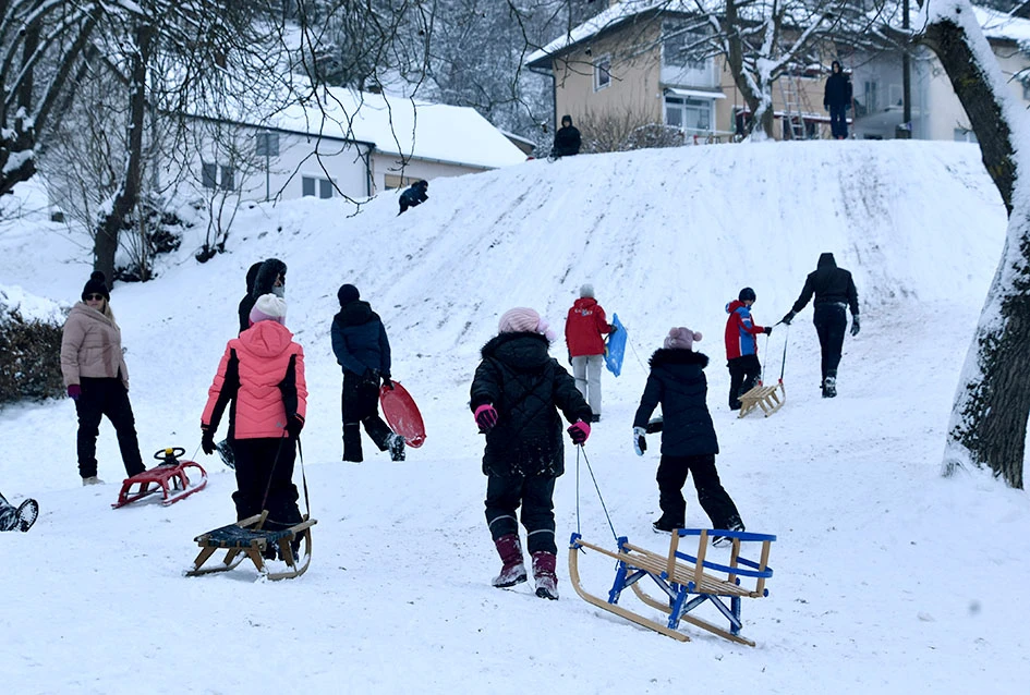 Zimske radosti na Tekiji: Padine Požeške gore preplavili sanjkaši svih uzrasta
