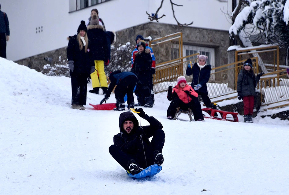 Zimske radosti na Tekiji: Padine Požeške gore preplavili sanjkaši svih uzrasta