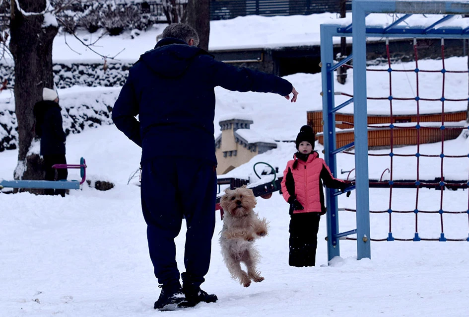 Zimske radosti na Tekiji: Padine Požeške gore preplavili sanjkaši svih uzrasta