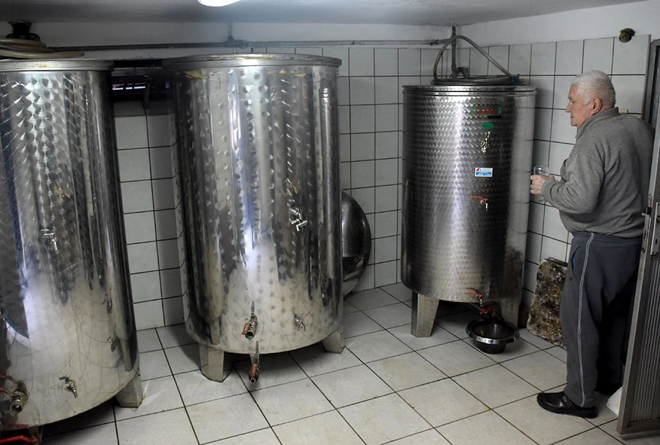 Blanka i Josip Pejnović već desetljećima vinogradare na obroncima Papuka