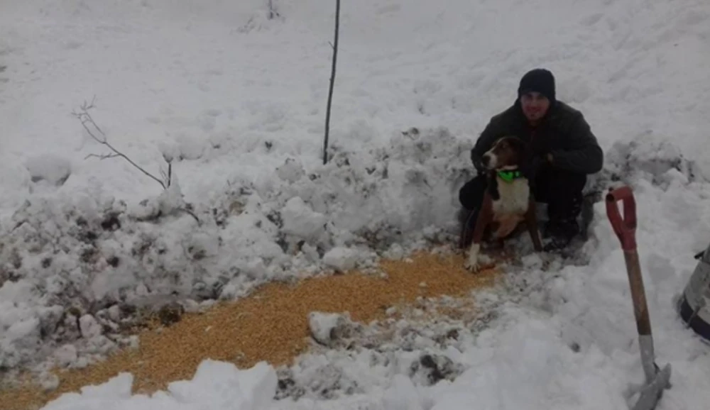 Slavonski lovci spašavaju divljač od velikih hladnoća