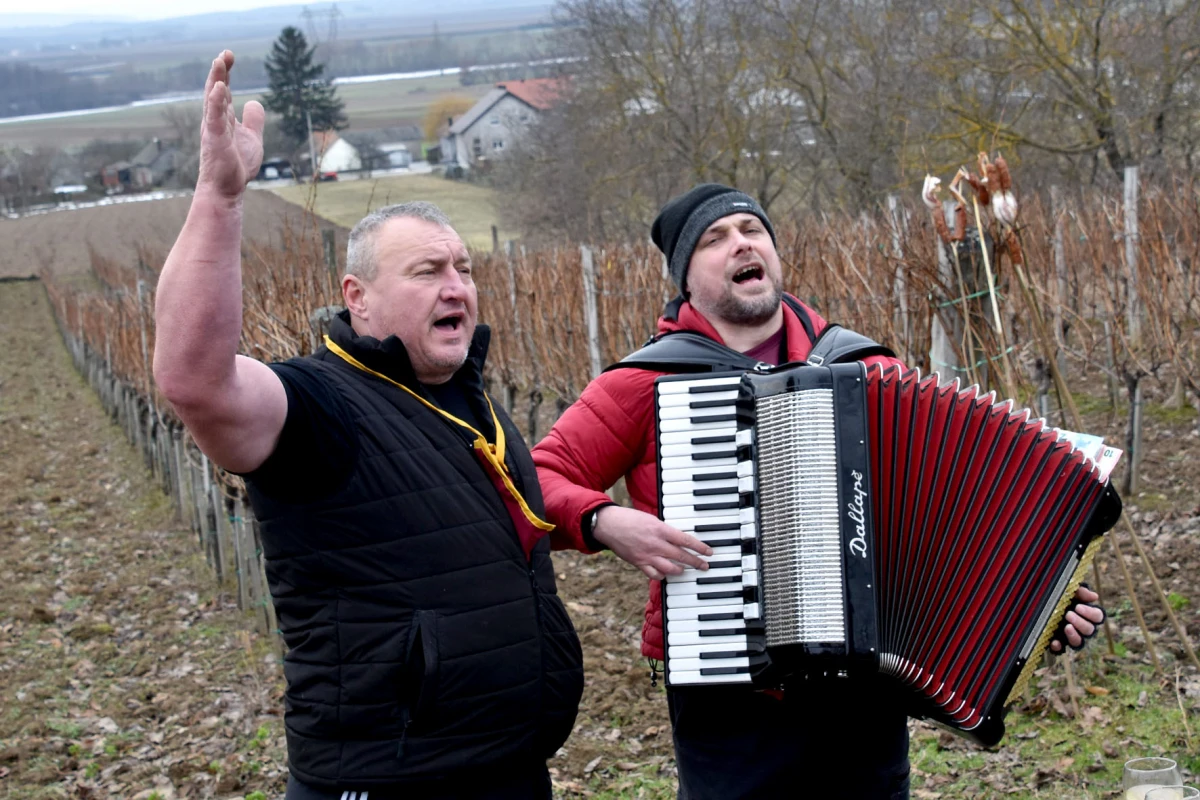 TRADICIJA NA VINKOMIRU: Proslava Vincelova u vinogradu obitelji Majstorović