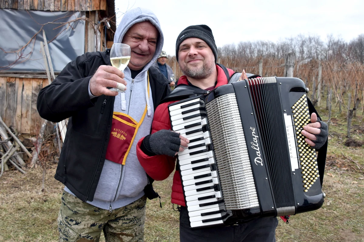 TRADICIJA NA VINKOMIRU: Proslava Vincelova u vinogradu obitelji Majstorović