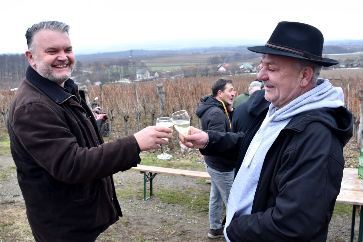 TRADICIJA NA VINKOMIRU: Proslava Vincelova u vinogradu obitelji Majstorović