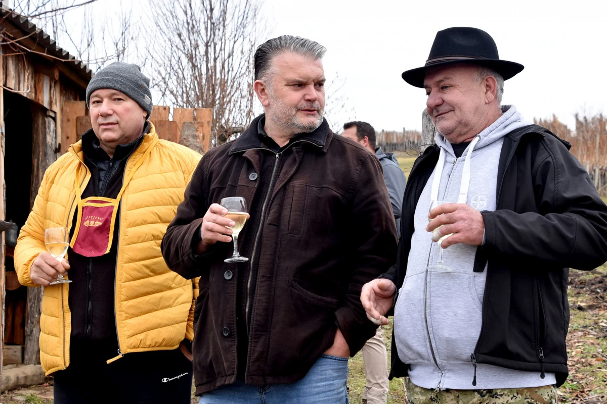 TRADICIJA NA VINKOMIRU: Proslava Vincelova u vinogradu obitelji Majstorović