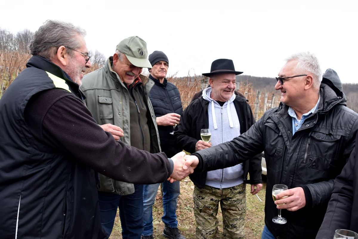 TRADICIJA NA VINKOMIRU: Proslava Vincelova u vinogradu obitelji Majstorović