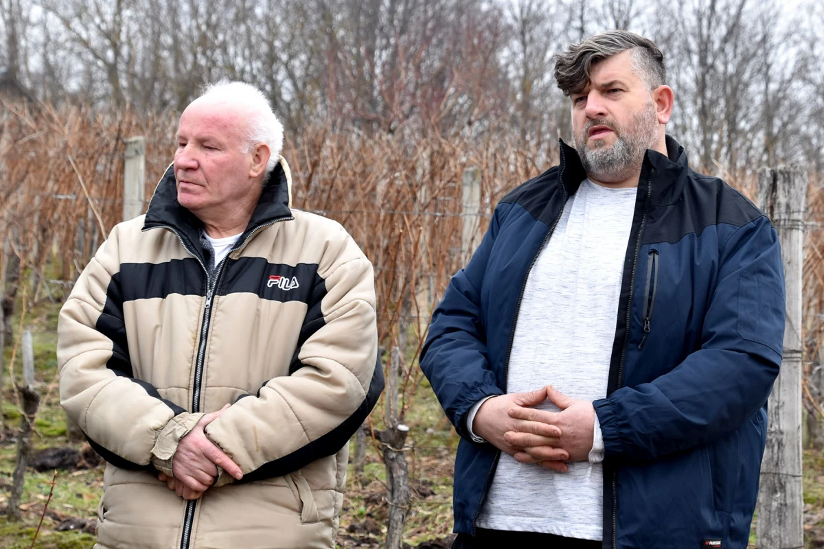 TRADICIJA NA VINKOMIRU: Proslava Vincelova u vinogradu obitelji Majstorović