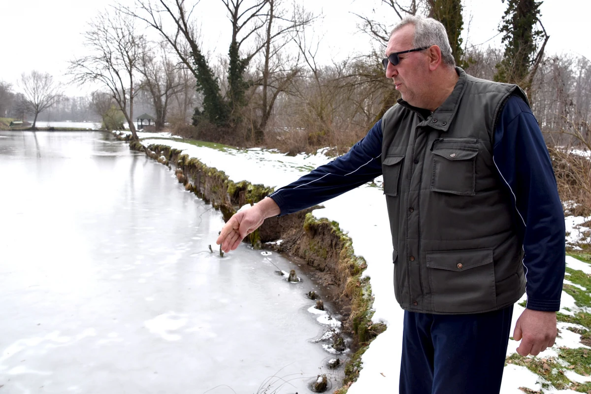 Neobični stanari stvaraju probleme: Dabrovi „okupirali“ ribnjak u Eminovcima, šteta se mjeri u tisućama eura