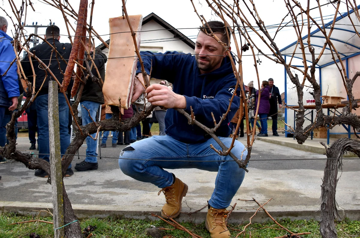 Iako nemaju vinarije, imaju srce za lozu: Podgorci dostojno proslavili blagdan sv. Vinka 