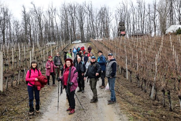 Koracima kroz vinograde i povijest Požeške gore: Zimski vincelovski pohod u Pleternici