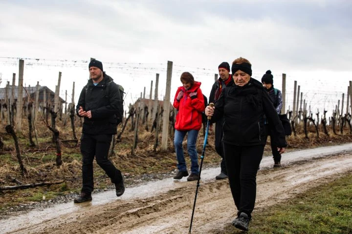 Koracima kroz vinograde i povijest Požeške gore: Zimski vincelovski pohod u Pleternici
