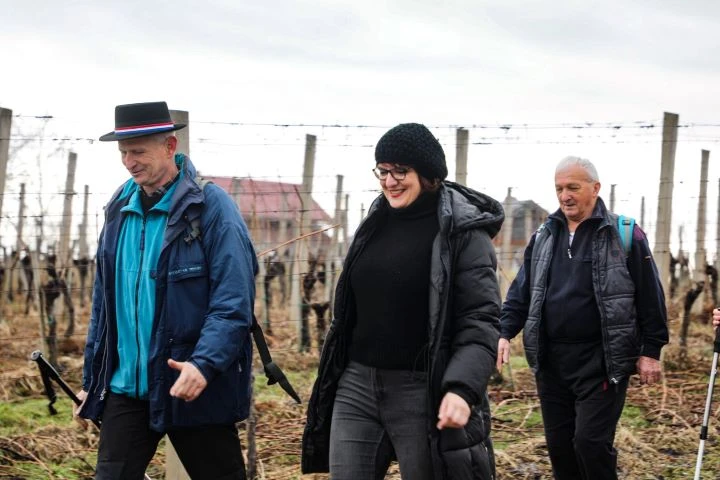 Koracima kroz vinograde i povijest Požeške gore: Zimski vincelovski pohod u Pleternici